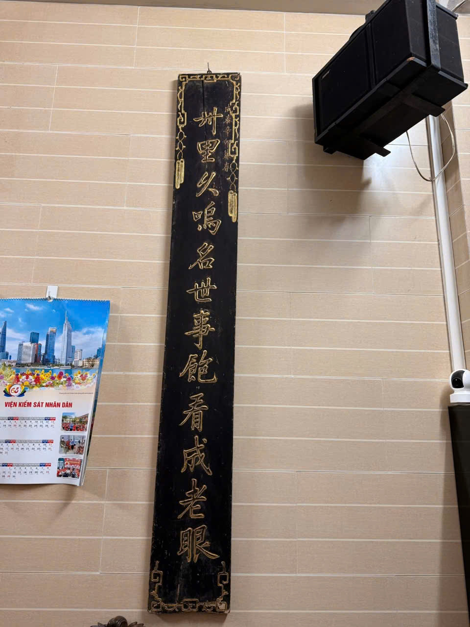 cau-doi-go-kham-oc-5